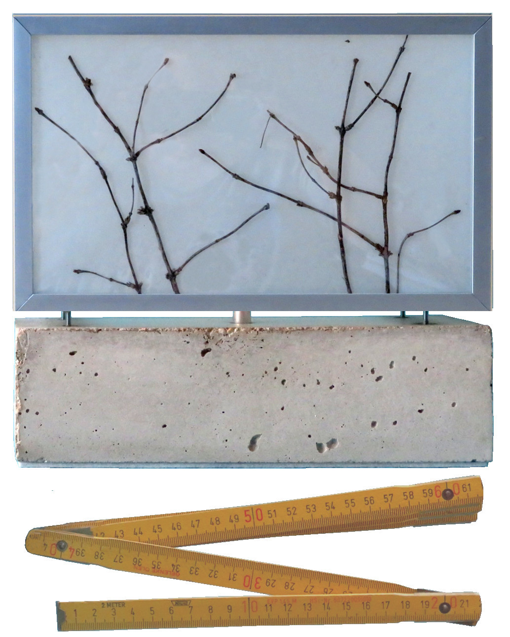 Ansicht freigestellt mit Maßstab